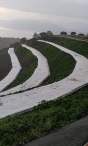 geotessile 2